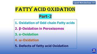 10 Fatty acid oxidation part 2  Lipid Metabolism10  Biochemistry  NJOY Biochemistry [upl. by Enahsal]