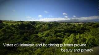 400 Mehana Rd  Haiku Maui  Video Tour  Hawaii Life Real Estate [upl. by Treharne]