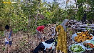 aktivitas sore bersama keluarga masak ayam goreng krispisambel iris tumis pakcoy masakan desa [upl. by Feeney292]