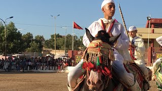 تبوريدة زاوية الشيخ 2019 Zaouiat Cheikh Tbourida  خيول بربرية عربية و موسيقى امازيغية [upl. by Sacttler]