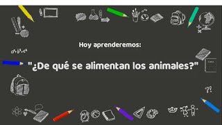 ALIMENTACIÓN DE LOS ANIMALES CARNÍVOROS HERBÍVOROS Y OMNÍVOROS PARA NIÑOS DE NIVEL INICIAL 2020 [upl. by Harrell446]