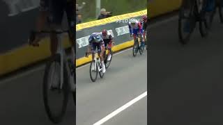 Tour of Flanders unbelievable sprint finish shorts [upl. by Ysus]