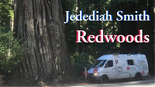 Jedediah Smith Redwoods State Park [upl. by Legim262]