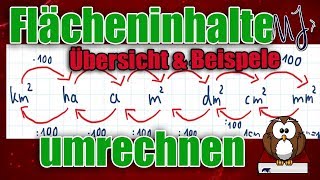 Flächeneinheiten umrechnen  Einfach mit einer Übersicht  Mit Beispielen [upl. by Georglana]