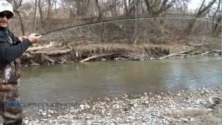 Oshawa Creek Rainbow Trout Fishing [upl. by Norita]