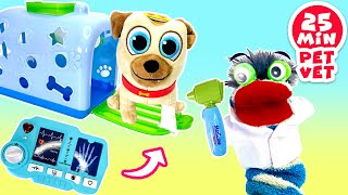 Fizzy The Pet Vet Helps Spiderman and Puppy Dog Pals [upl. by Arni608]