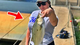 OHIO RIVER FISHING for STRIPED BASS with the GIRLFRIEND She out Fishes Me [upl. by Edmunda547]