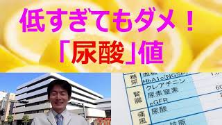 低くてもダメ！「尿酸」値：大切な理由は？（血液検査・栄養精神医学）奥平智之 [upl. by Ferino]