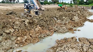 Update Process Landfill Large Scale Into Deeply Big Pond Use Bulldozer and Dump Trucks in Operation [upl. by Yahsan542]