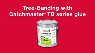 TreeBanding with Catchmaster TB1 Glue [upl. by Eentruoc67]