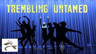 quotTrembling Untamedquot – Dance Company Show 4212023 [upl. by Amuh]