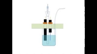 Voltammetric Electrodes [upl. by Nevar]