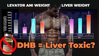 DHB Dihydroboldenone  The Most Overhyped And Liver Toxic Injectable Steroid [upl. by Huntley]