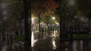 Llueve intensamente en el parque de Bermeo sonido relax lluvia [upl. by Aicatan369]