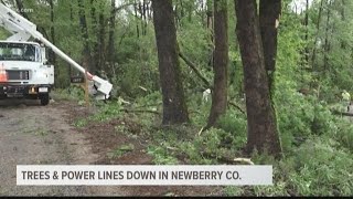 Trees and power lines down in Newberry county [upl. by Calvert873]