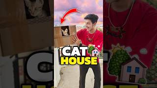 New House For My Cats 💀😀  Mini Vlog shorts minivlog ashortaday vlog tranding cat [upl. by Anaitat]