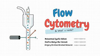 FLOW CYTOMETRY  BIOPHOTONIC [upl. by Aciretnahs]