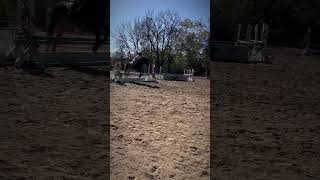 Flying Cross tmrw eventing lovelemieux pony horse equestrain horseriding [upl. by Yerffoj]