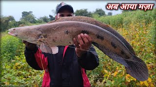 खतरनाक हमला Dengerous Attack  How to Catch Snackhead Fish  Machli pakadne ka Tarika [upl. by Notlad776]