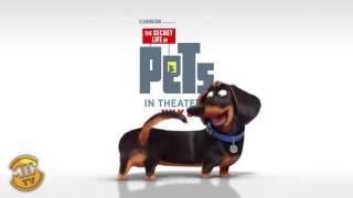 The Secret Life of Pets Movie CLIP  The Flushed Pets 2016  Kevin Hart Louis CK Movie HD [upl. by Oironoh]