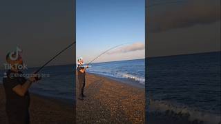 Chesil Beach  Catch amp Cook [upl. by Adrial]