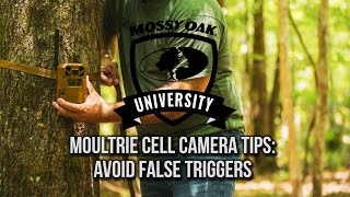 Tips to Avoid False Triggers on Moultrie Trail Cameras [upl. by Mintz]