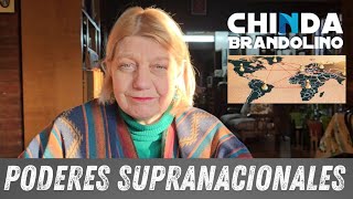 Los Poderes Supranacionales  Dra Chinda Brandolino [upl. by Ahsitneuq]