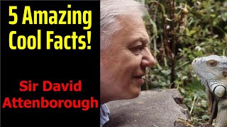 5 Fascinating Facts About Sir David Attenborough [upl. by Annaya679]