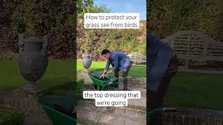 Head gardener from Sissinghurst has a trick to protect your grass seed lawn grass gardener [upl. by Mindi]