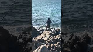 Easy Caught Massive Snapper at the Rocks [upl. by Aubigny]