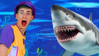 Sharks in the Water 🦈 amp Draw Me Song  MORE  Funny Songs [upl. by Arquit]