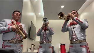 Así estudian los Trompetistas del Mariachi Sol de México de José Hernández 🎺🔥 [upl. by Nevins]