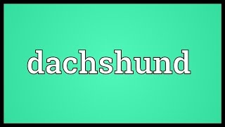 Dachshund Meaning [upl. by Aicercal783]