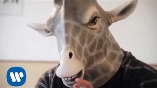 John Berkhout  Short Necked Giraffe Videoclip oficial [upl. by Noiwtna]