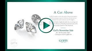 Goffs November Foal Sale 2017 [upl. by Base]