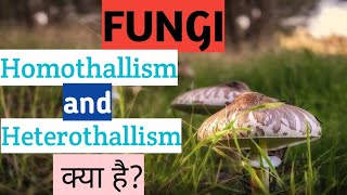 homothallism and heterothallism kya h in hindi [upl. by Obara316]