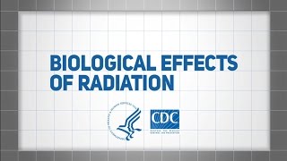 Biological Effects of Radiation [upl. by Guise]