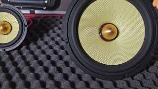 Pulse KT1653SQ handmade soundquality speakers Kevlar Composite cone Neodymium magnet [upl. by Ayila709]