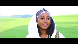 Ethiopian music Hagos Takele  Adehemayዓድህማይ  New Ethiopian Music 2017Official Video [upl. by Juakn]