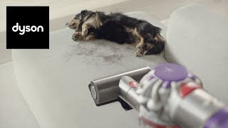 The new Dyson V8™ cordless vacuum Powerful and low noise [upl. by Mandych]