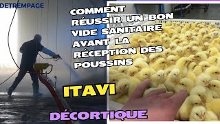 Comment Réussir Un bon vide Sanitaire Avant la réception des poussins ITAVI Décortique [upl. by Poucher633]