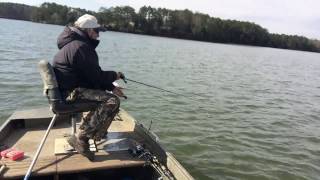 Lake Monticello White Perch Fishing [upl. by Eilema378]