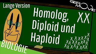 ► Homolog Diploid und Haploid  verständlich erklärt  Lange Version [upl. by Josefina584]