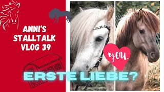 Die erste Liebe 🧡 Mein Hengst und seine erste Stute was gehört dazuisländer hengstdeckhengst [upl. by Ellie]