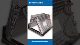 Biocide Chamber and what it does [upl. by Gerard]