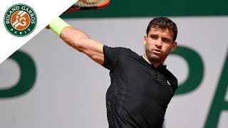 Grigor Dimitrov v Tommy Robredo Highlights  Mens Second Round 2017  RolandGarros [upl. by Engedi816]