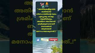 Motivational quotes Malayalam motivation Buddha quotes Relax and Smile [upl. by Itoyj]