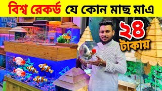 Aquarium Price In Bangladesh🐠Aquarium Fish Price In Bangladesh 2024😱 Aquarium Fish Price In katabon [upl. by Ahselaf]