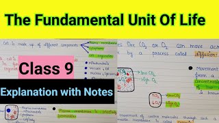 the fundamental unit of life class 9  the fundamental unit of life  Fundamental unit of life notes [upl. by Aihsercal274]