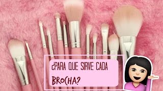 Para que sirve cada brocha de Maquillaje Brochas  Reseña  Royal langnickel [upl. by Llezniuq]